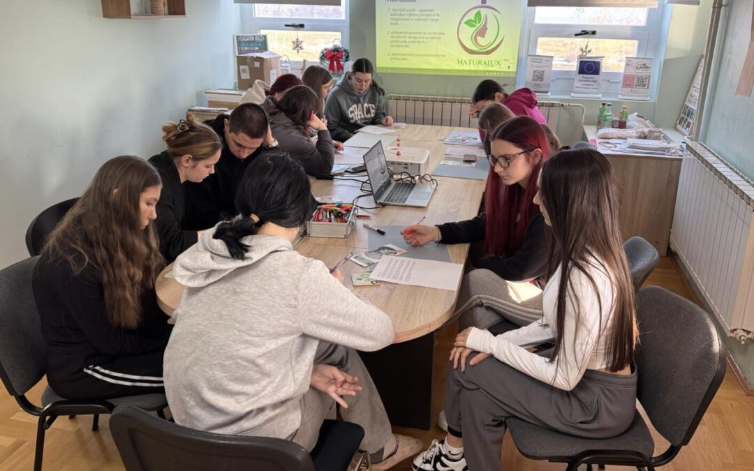 Radionica izrade proizvoda za čišćenje lica